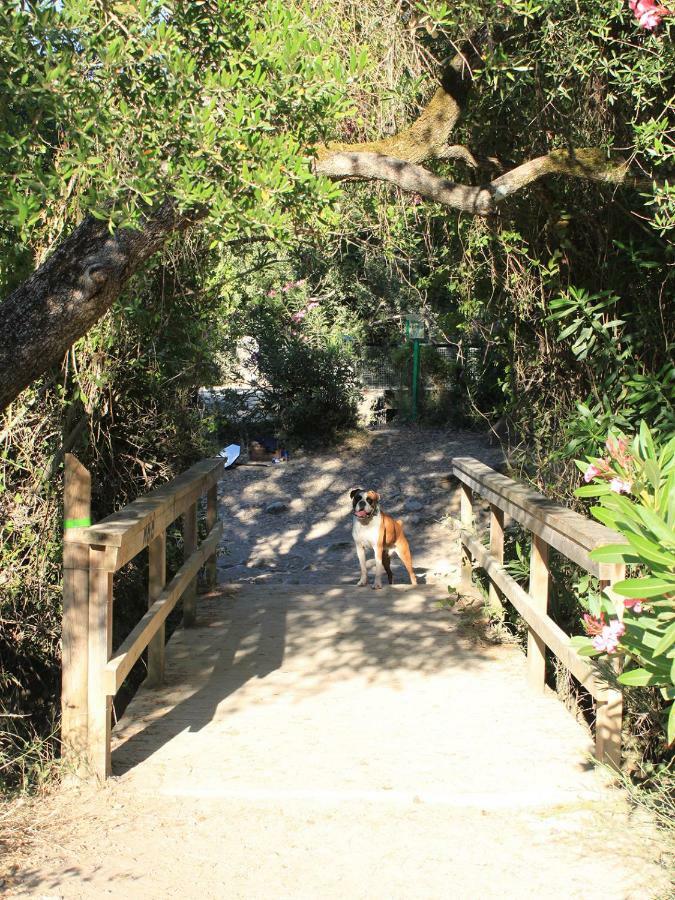 Appartamento Ático Cahi El Bosque Esterno foto