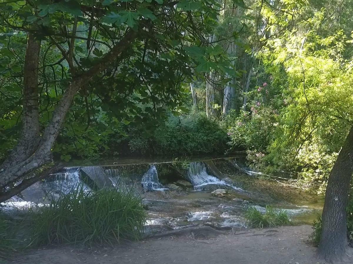 Appartamento Ático Cahi El Bosque Esterno foto